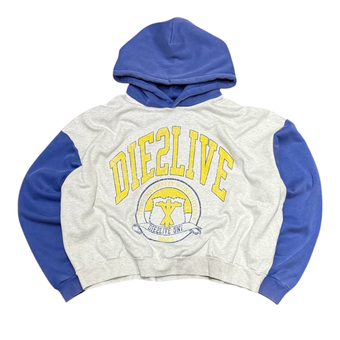 University Hoodie