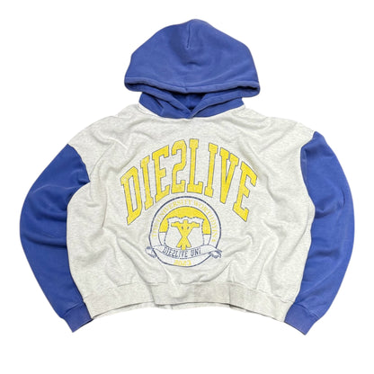 University Hoodie